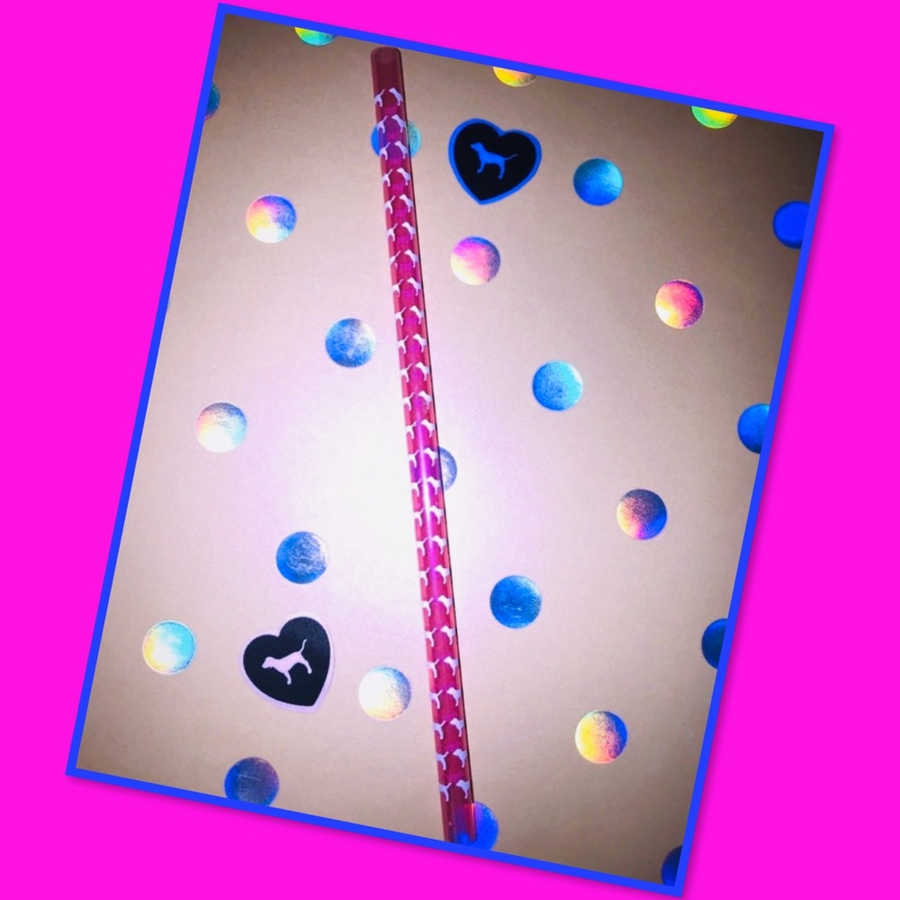 💗NWOT VS PINK RARE/HTF DOG STRAW💗